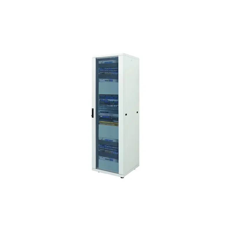 19" Netzwerkschrank, Standard Line, 42 HE, 800 (T) x 800 (B) mm, grau