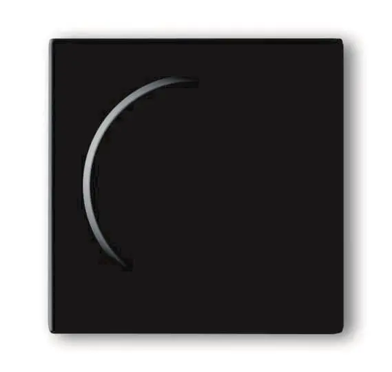 BJ Solo Abdeckung Drehdimmer 6540-81-102   Carat  Solo anthrazit