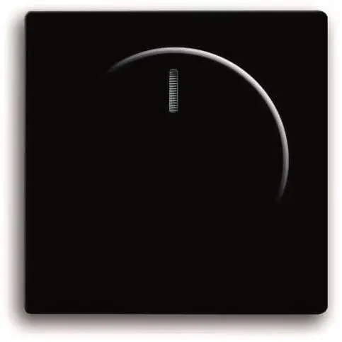 BJ Zentralscheibe f.        6540-885-102   Drehdimmer  schwarz matt