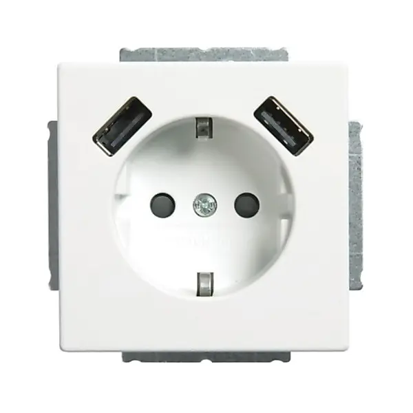 Busch-Jaeger SCHUKO-2x USB Steckdose 20 EUCB2USB-884