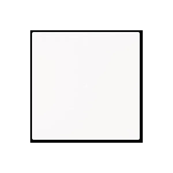 Busch-Jaeger Wippe, 1-fach neutral ohne Bedruckung 6230-10-44M