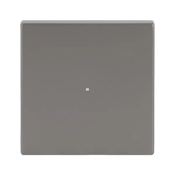 Busch-Jaeger Wippe eds pur Edelstahl 6230-10-866