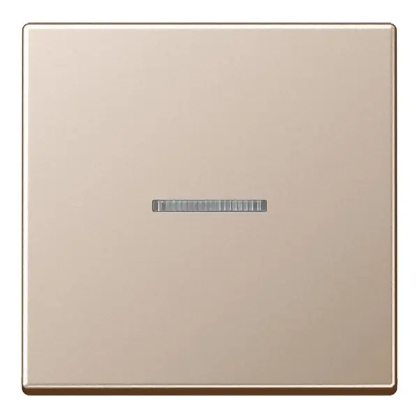 JUNG Wippe champ. mit Lichtleiter A 590 KO5 CH
