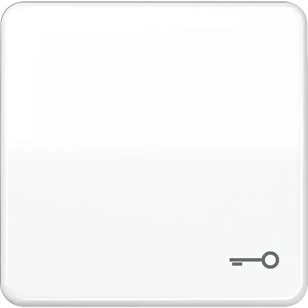 JUNG Wippe Symbol TÜR aws für Taster CD 590 T WW