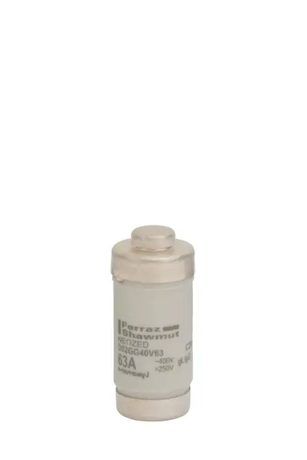 Mersen 01701.063000 D02 63A gG 400V NEOZED Sicherungseinsatz kupfer