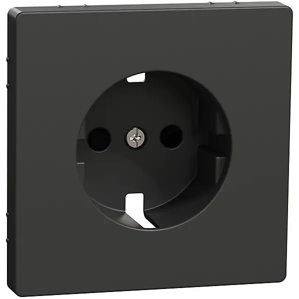 Merten Zentralplatte anth f.SCHUKO-Steckdose MEG2330-6034